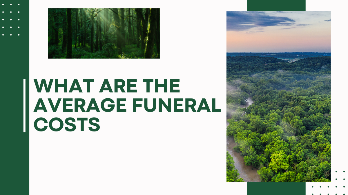 What Are The Average Funeral Costs In Miami Miami Funeral Services